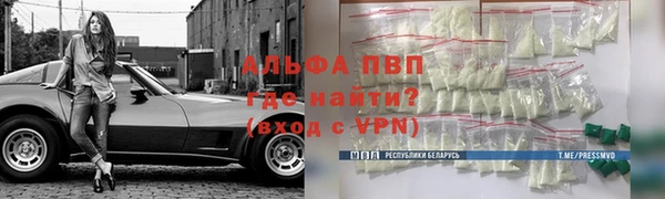 шишки Кодинск