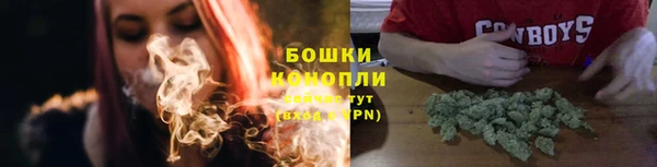 прущие грибы Белоозёрский