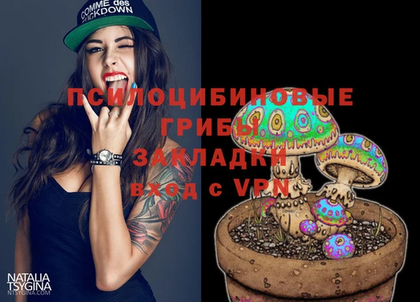 прущие грибы Белоозёрский