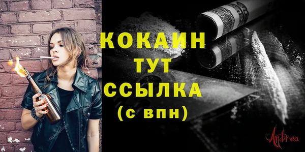 прущие грибы Белоозёрский