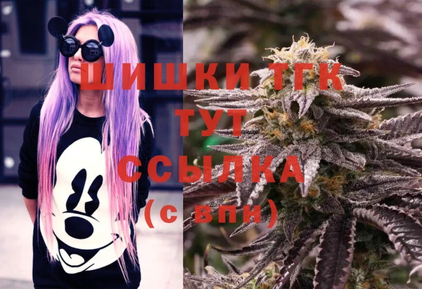 амф Беломорск