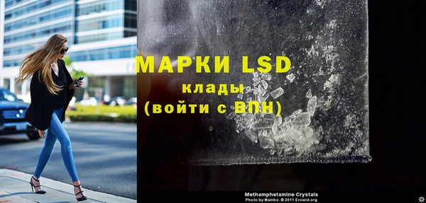 прущие грибы Белоозёрский