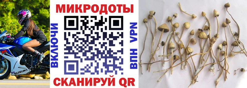 Галлюциногенные грибы MAGIC MUSHROOMS  Облучье 